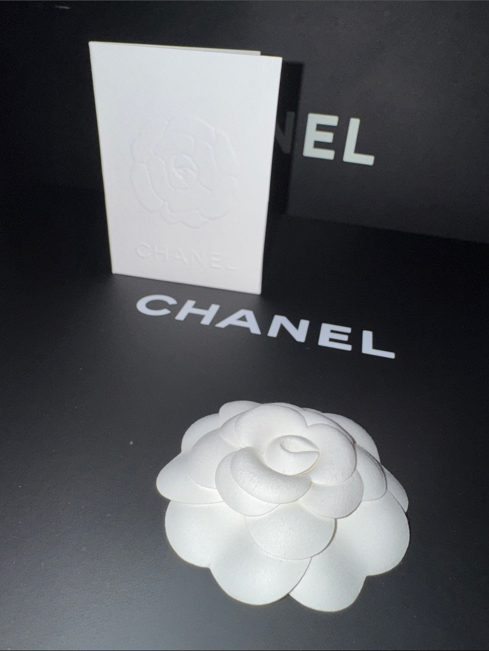 Large CHANEL Black and White Box & Bag Set with 2 Camellia+ receipt holder - Picture 2 of 13